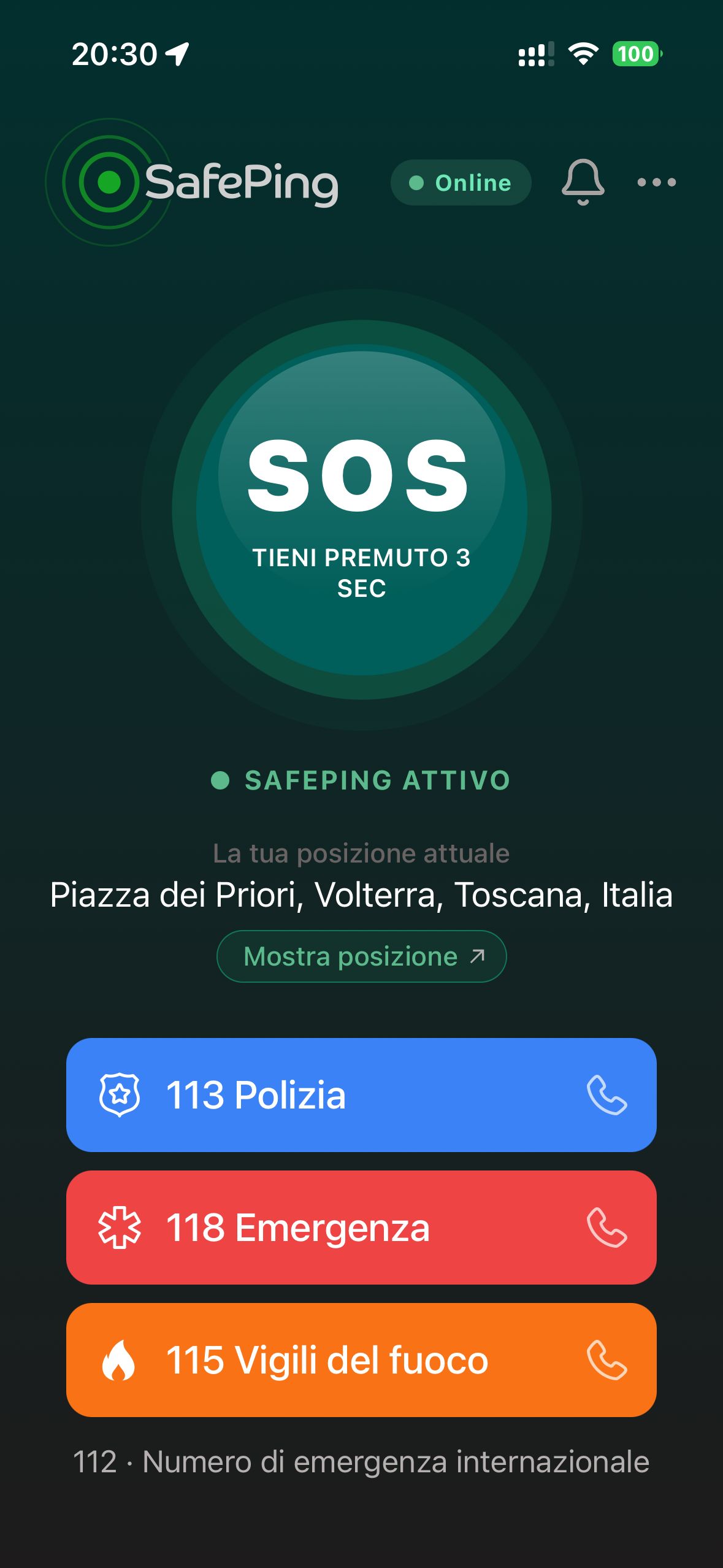 SafePing — Home